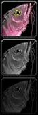 Icon 133915